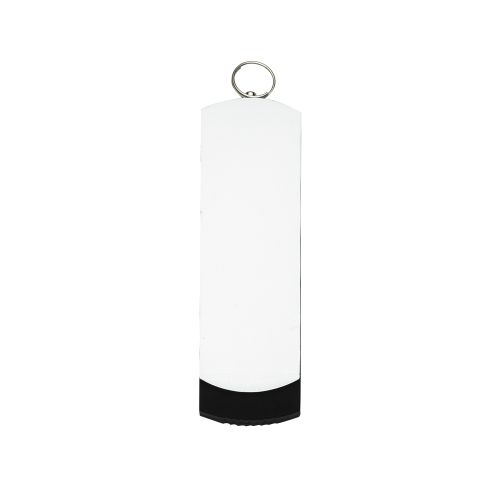 Pen Drive Giratório 4GB 010
