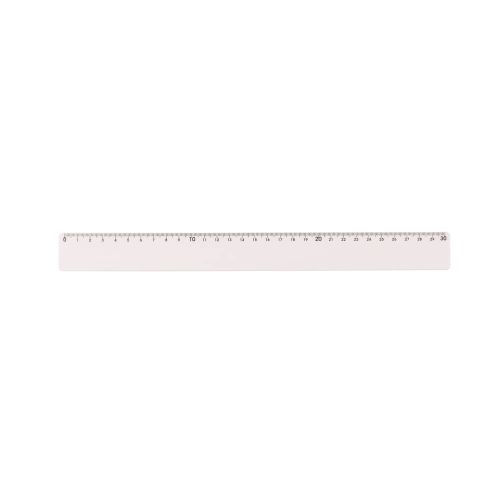 Régua Plástica 30cm 13763